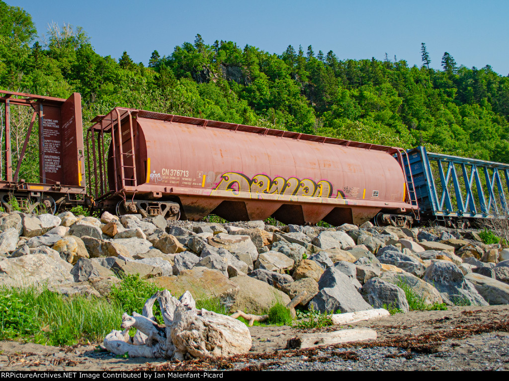 CN 376713